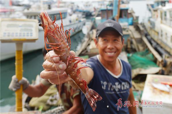 5.99万起试驾比亚迪最便宜电动车_9929访问稳定