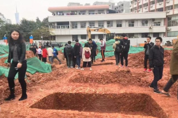 企鹅蛋为何不结冰?帝企鹅爸爸已经进化成