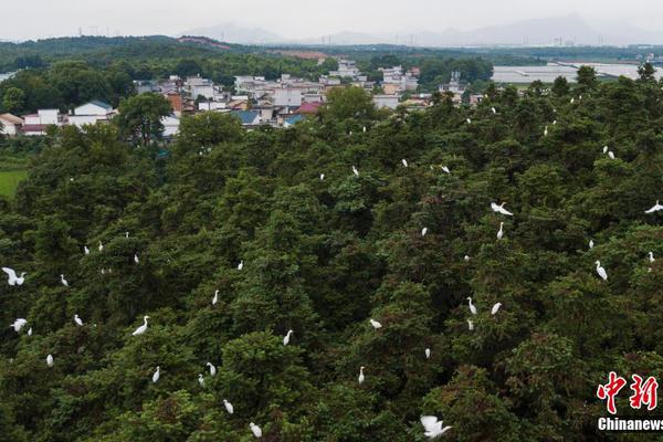 价格因素如此重要？二手车交易价格主要集中在10万元以下_9929性价比之王