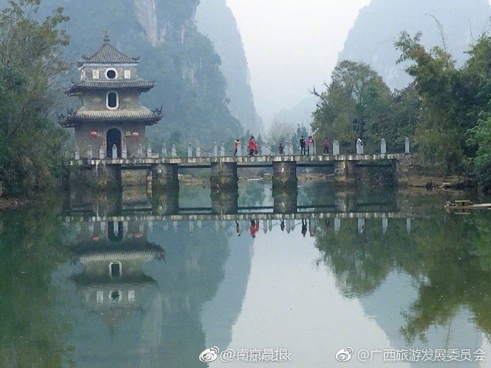 猫妈妈好心收养失去母亲小松鼠:相互依偎非常亲昵_9929原生IP