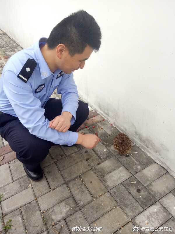 蔡依林露肩礼服亮相秀事业线_LXC挂机宝