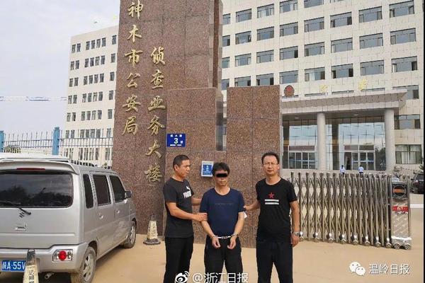纽约芭蕾舞团版郑俊英案_挂机宝运行脚本