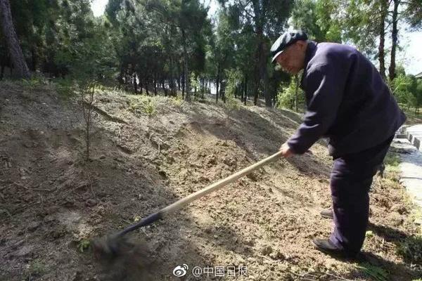清华大学发布AI使能平台“紫为云” 加速AI落地_挂机宝代码服务器