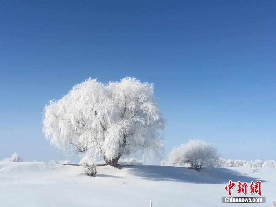 保安为晕倒学生垫付多半月工资:捍卫有文化青年