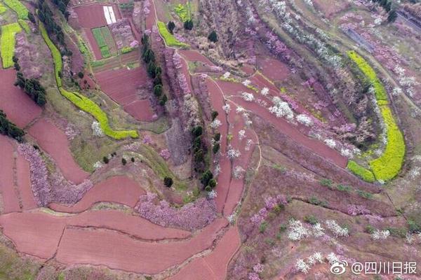 五学生涉嫌打死同学被抓 家长道歉欲赔10万被拒_共享云服务器