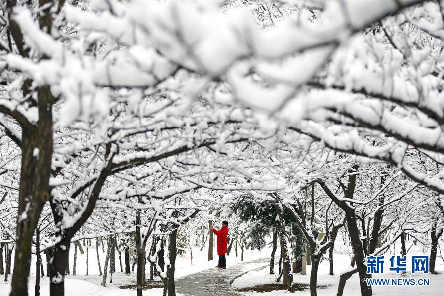 美核轰炸机事故共造成14枚氢弹坠落,一枚差点启爆_9929好用吗