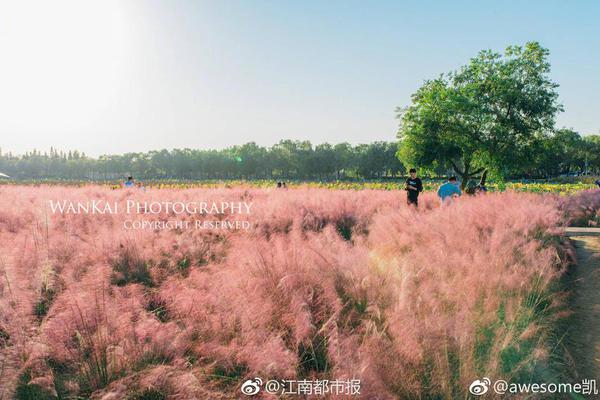特朗普:重启QE不够 美联储应降息100个基点!_云服务器折扣