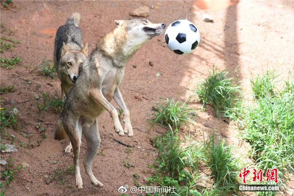 岳云鹏又演郭德纲电影男主_9929带宽推荐