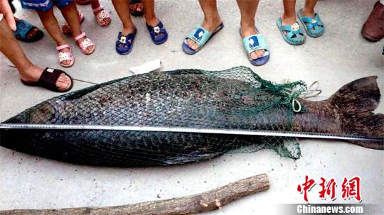 口舌生疮应该如何调理_网络知识