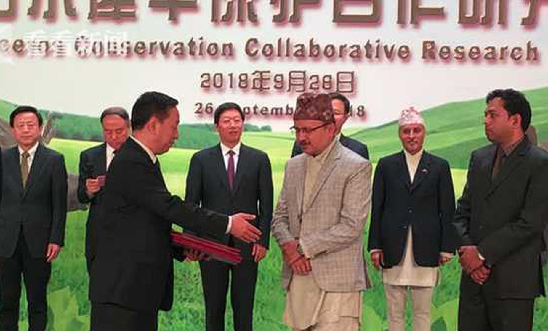 从《用心棒》到《荒野大镖客》_9929晚高峰