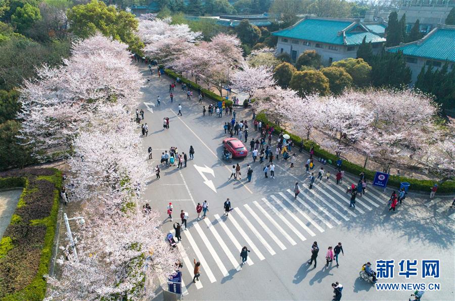 日本侵华时期战时刊物