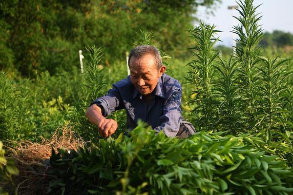 曾被IS招募奔赴叙利亚 俄罗斯女大学生如今深感羞愧_CN2服务器机房