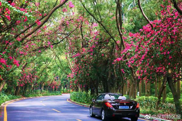 哪个云服务器的厂商比较便宜_云电脑省钱