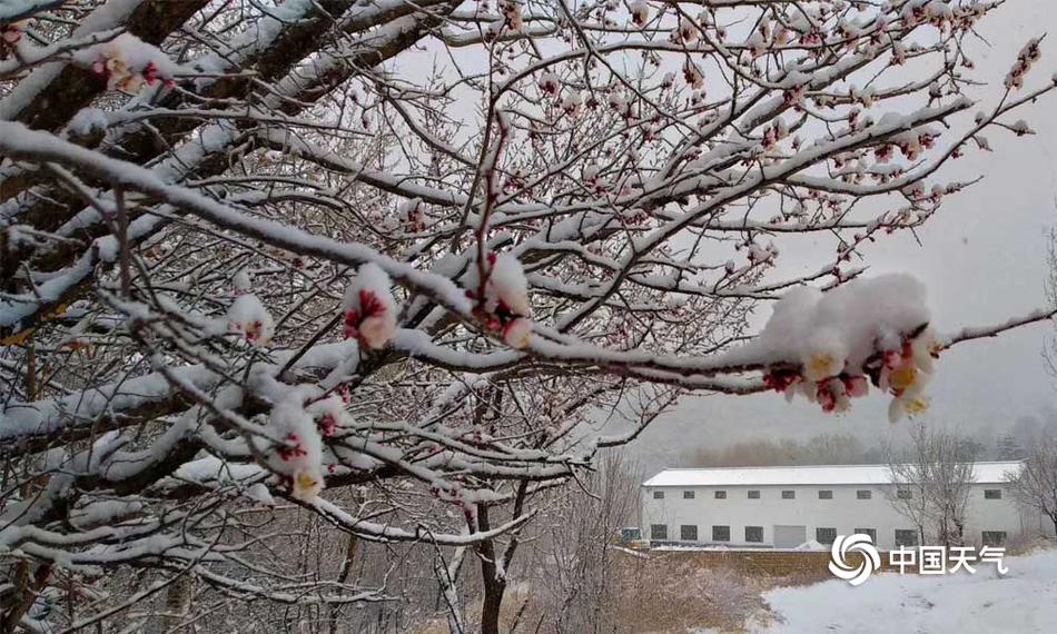 企业域名怎么申请购买_挂机宝免实名