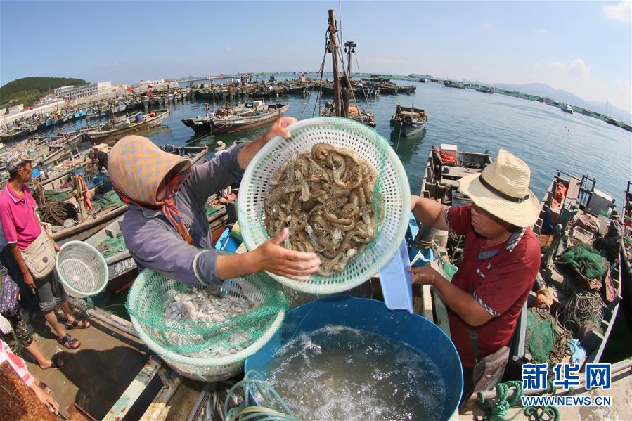 一分钱一分货？10万与30万的省油新车区别有多大！_AI云电脑