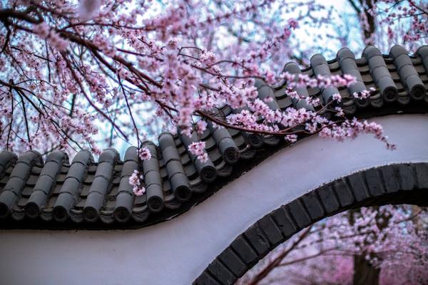 为了姐姐,她被迫认个老太监为父_1元挂机宝