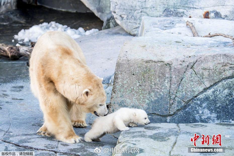 宝马全新7系鼻大很嚣张