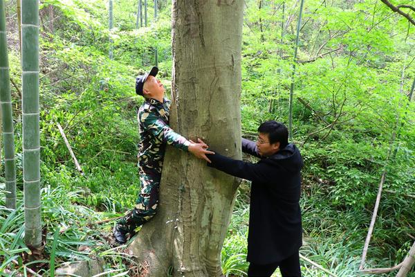 海南假疫苗涉案者被曝欲与消费者和解 协议书曝光_云电脑自动分配