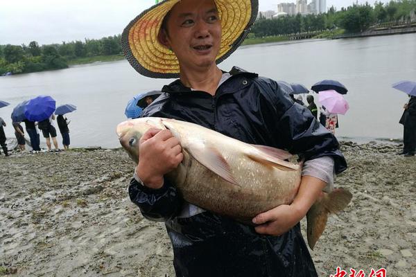 明明可以靠颜值却非要靠价格实力,宝沃BX7全国15.90万起_广州云服务器