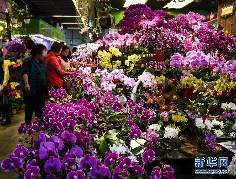起底身份倒卖产业:那些被公开叫卖的人生_稳定挂机宝