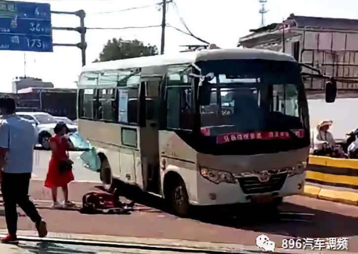 泪目！狗狗和主人患痴呆症后重逢认出彼此_云电脑黄金镜像