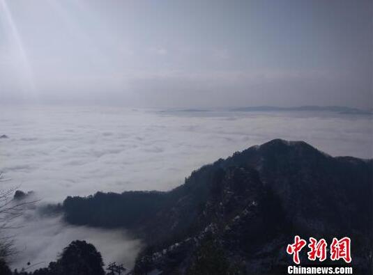 追星吗？你的爱豆比你还努力