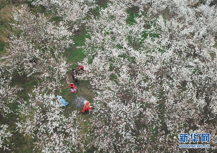 如今全国最低6.37万,本田哥瑞多少人值得拥有?_外贸网站服务器