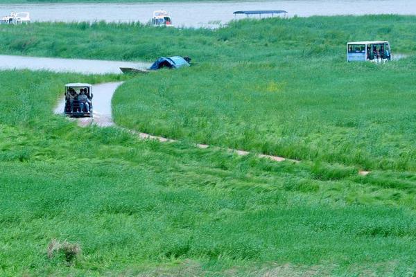 团贷网案通报：冻结54亿元 扣押2架飞机和50套房产_阿里云99计划