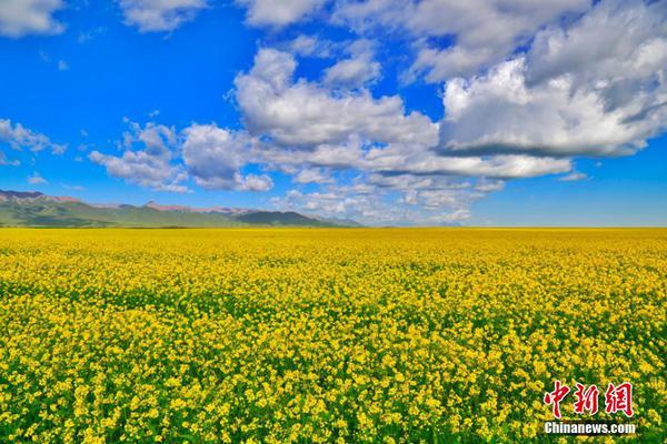 18万装130平北欧风三居室 朋友都说看起来很高档_云服务器租用