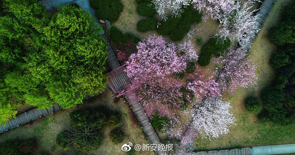 如何把购买的域名绑定到web_CN2服务器游戏加速
