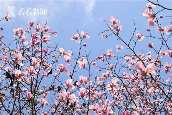 压线生易落榜 如何报上好大学？_云电脑文件共享