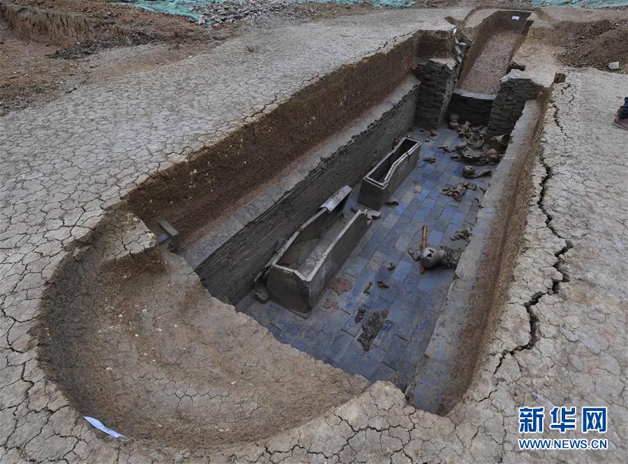 盲目追捧九价HPV疫苗，结局可能两相其害_稳定挂机宝