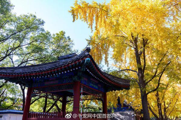 A队称霸CSGO一年世界排名