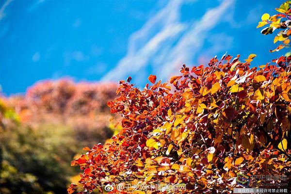 汇源自救方案公布！与“猪肉大王”天地壹号合作_挂机宝美国