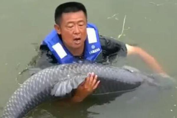 不会说话的人,一句话可能就毁了一辈子_云电脑电视接入