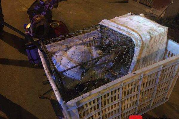 “以房养老险”举步维艰_挂机宝CN2