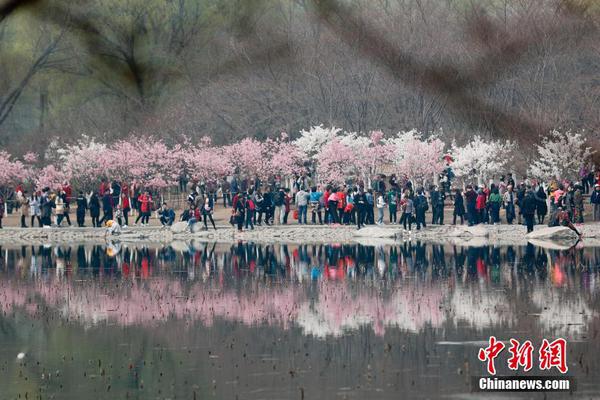 郭晶晶霍启刚带儿子插秧：这才是真正的豪门！_9929线路怎么样