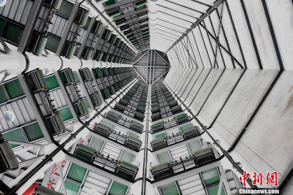 甘肃肃南发现5处岩画 文物局正在核实_便宜9929云服务器