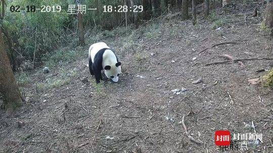 早安我的少年:有温度的生活伴侣_9929延迟