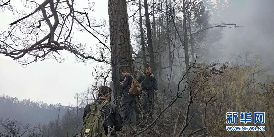 第5期|马振山:不进则退 一汽-大众“两把火”暖寒冬_大模型训练