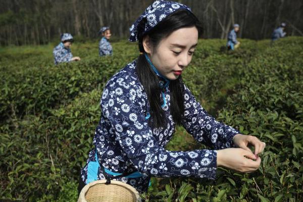 欧洲12国组建电子竞技联盟_CN2服务器促销