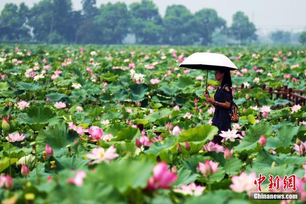 是否恢复冥王星“行星”地位?天文学家将进行辩论_云服务器入门