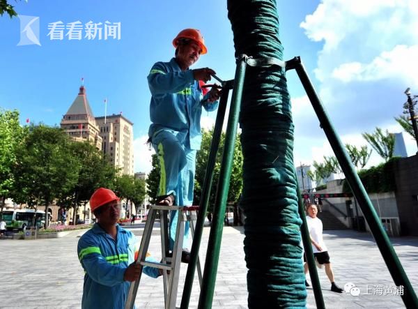“志愿文学”网络作家基层行上海启动_9929免费试用
