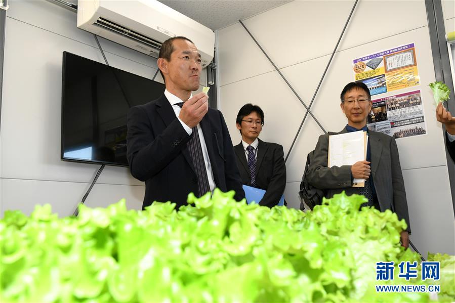 她曾与贾宝玉最亲，教育袭人规矩，却被袭人排挤走_云电脑电脑端