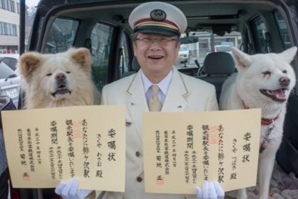 迪奥纪梵希等护肤品降价 唇膏仅降5块