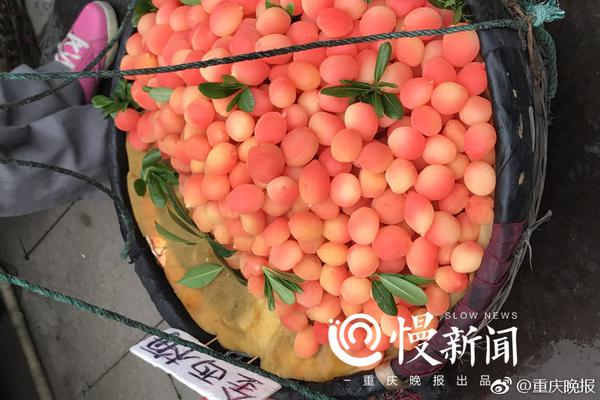 限竞房有望稳房价走势_云电脑省钱