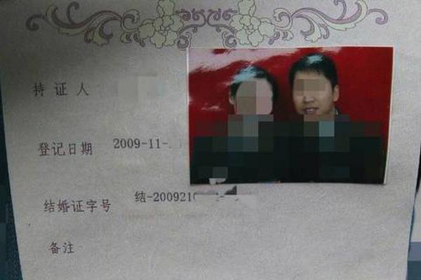 28岁程序员的一个举动,让大疆损失上百万,自己被罚20万获刑半年_云服务器2核8G