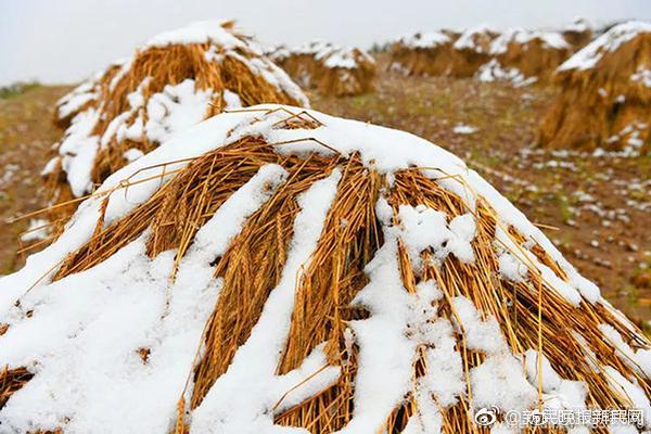五一西湖景区停车收费调整 执行旅游旺季双休日价格_通用型云服务器