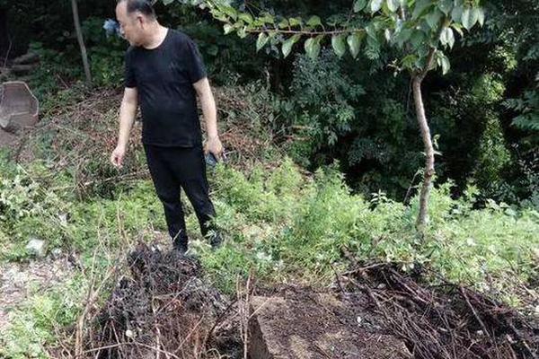 谁家的云服务器好_CN2大数据处理