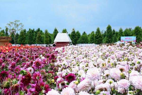 西班牙城市三宝 建筑美女和海鲜